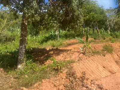 6 Rai 2 Ngan Land for Sale, 1km to Nai Thon Beach, Freehold - Nai Thon, Phuket - Photo 10