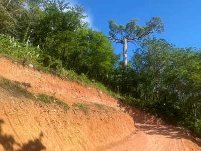 6 Rai 2 Ngan Land for Sale, 1km to Nai Thon Beach, Freehold - Nai Thon, Phuket - Photo 13