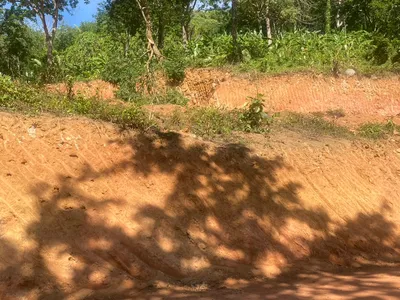 6 Rai 2 Ngan Land for Sale, 1km to Nai Thon Beach, Freehold - Nai Thon, Phuket - Photo 15