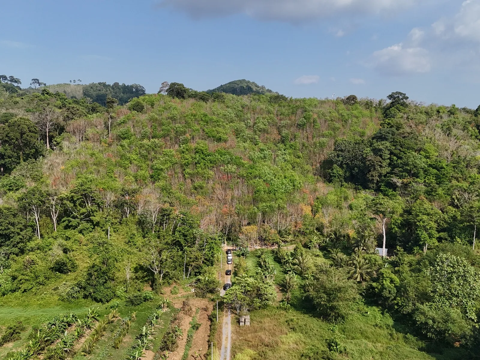 28 Rai Development Land for Sale, Near Nai Yang and Airport, Freehold - Thalang, Phuket - Photo 1