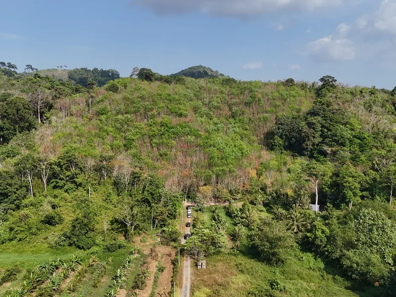 28 Rai Development Land for Sale, Near Nai Yang and Airport, Freehold - Thalang, Phuket - Main photo
