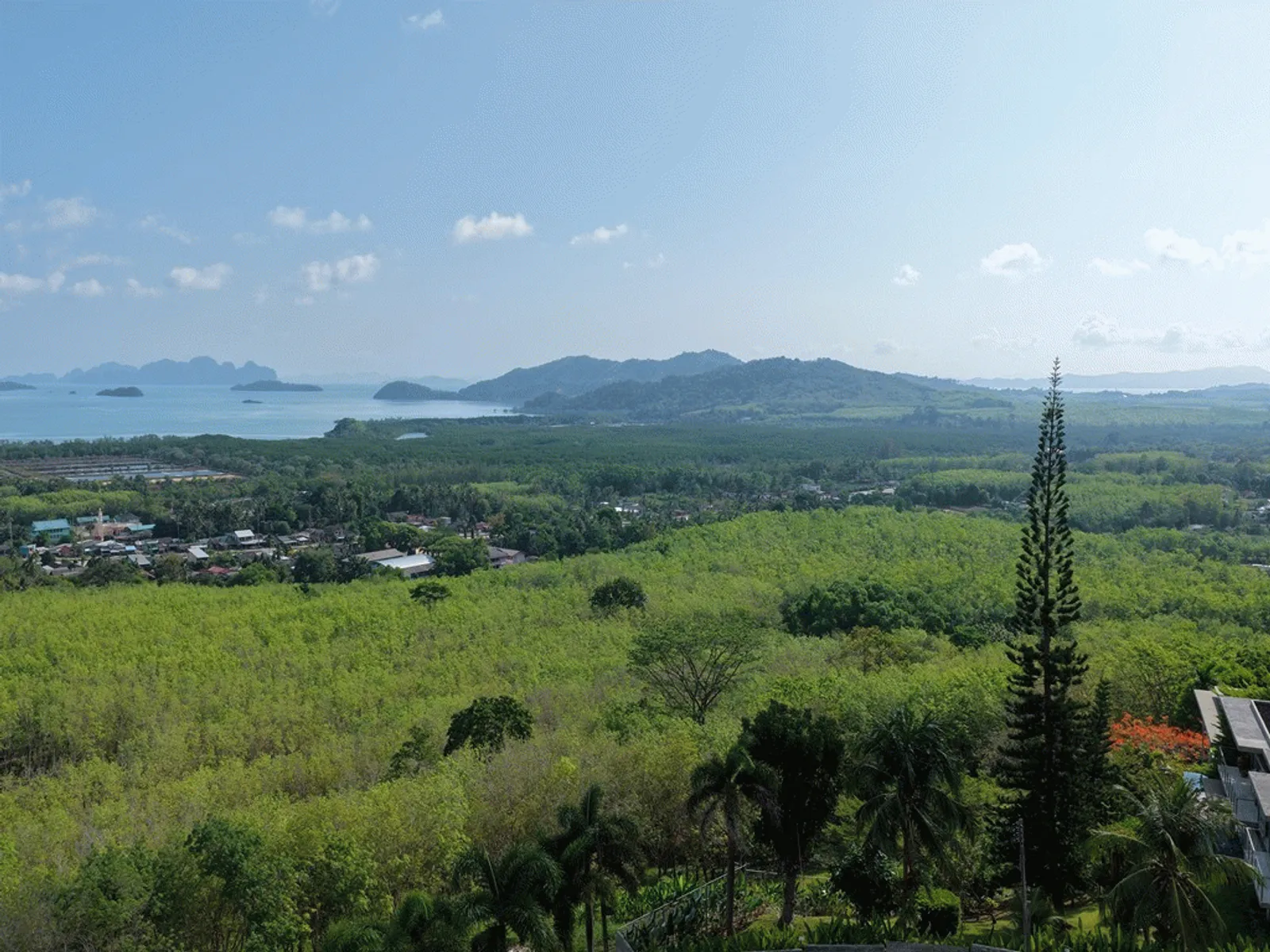 2 Rai Sea View Land for Sale, Baan Para, Pa Klok, Freehold - Pa Klok, Phuket - Photo 7