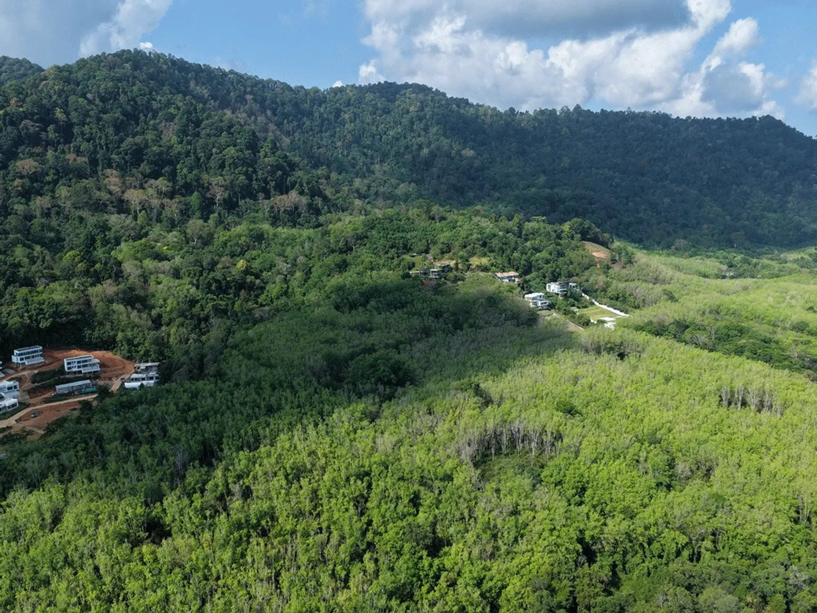 2 Rai Sea View Land for Sale, Baan Para, Pa Klok, Freehold - Pa Klok, Phuket - Photo 2