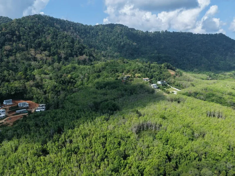 2 Rai Sea View Land for Sale, Baan Para, Pa Klok, Freehold - Pa Klok, Phuket - Main photo