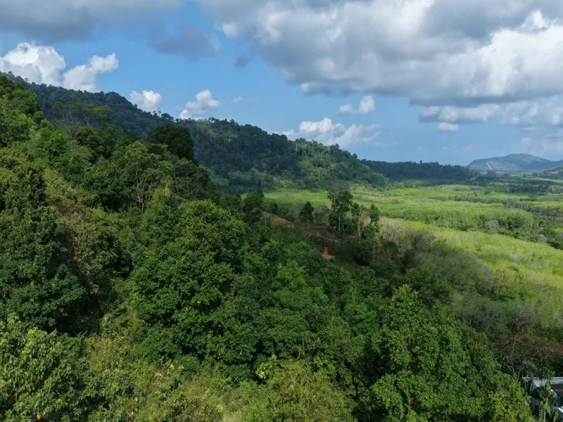 2 Rai Sea View Land for Sale, Baan Para, Pa Klok, Freehold - Pa Klok, Phuket - Main photo