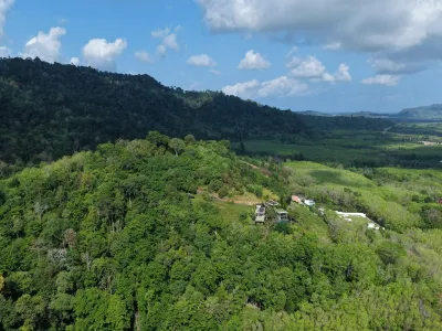 2 Rai Sea View Land for Sale, Baan Para, Pa Klok, Freehold - Pa Klok, Phuket - Photo 19