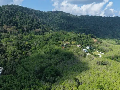 ขายที่ดิน 2 ไร่ วิวทะเล บ้านป่าหรา ป่าคลอก โฉนด - Pa Klok, Phuket - อสังหาริมทรัพย์ขายหรือให้เช่าในภูเก็ต