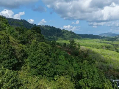 2 Rai Sea View Land for Sale, Baan Para, Pa Klok, Freehold - Pa Klok, Phuket - Photo 22