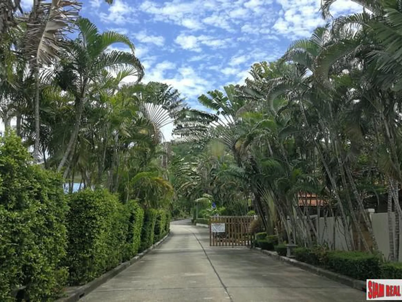3,184 sqm Sea View Land for Sale, Cape Yamu, Phang Nga Bay - Ao Yamoo, Phuket - Photo 3