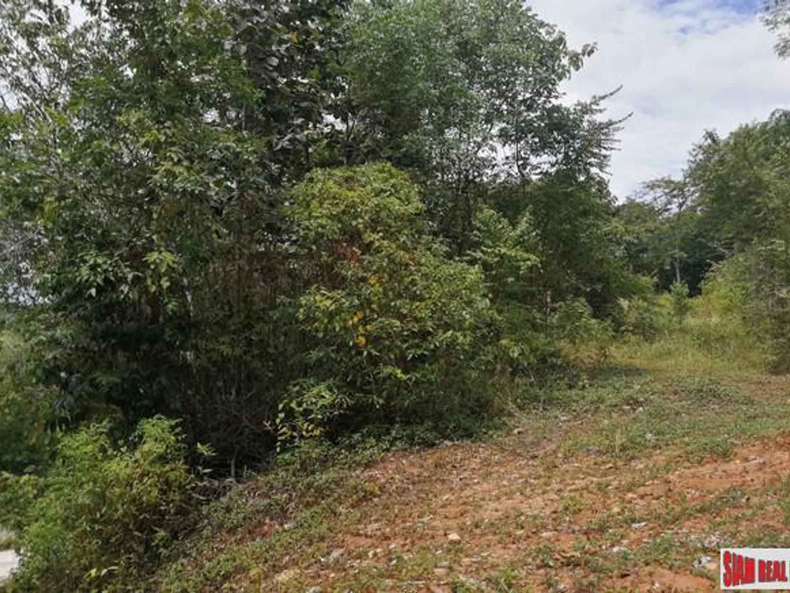 3,184 sqm Sea View Land for Sale, Cape Yamu, Phang Nga Bay - Ao Yamoo, Phuket - Photo 11