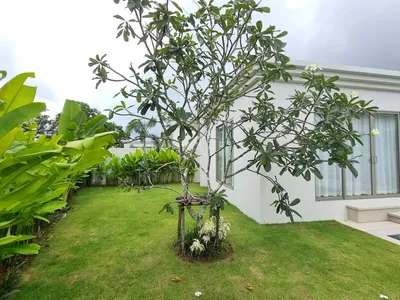 Trichada Breeze, 4-Bedroom Pool Villa for Rent, Bang Tao - Bang Tao, Phuket - Photo 4