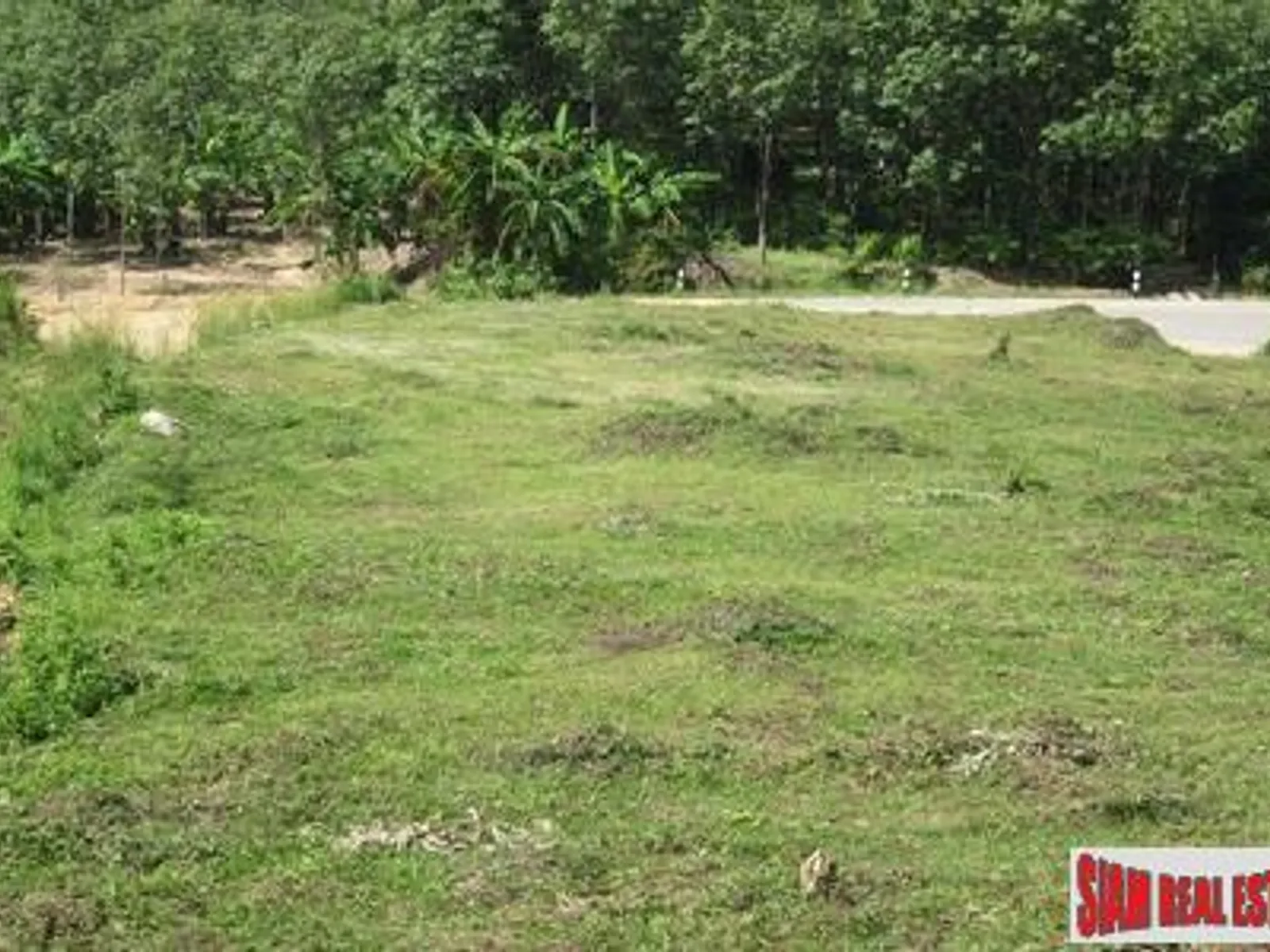 2 Rai Sea View Land for Sale, Mai Khao, Freehold - Mai Khao, Phuket - Photo 1