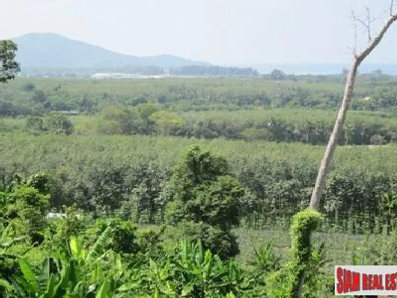 2 Rai Sea View Land for Sale, Mai Khao, Freehold - Mai Khao, Phuket - Main photo