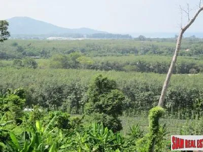 2 Rai Sea View Land for Sale, Mai Khao, Freehold - Mai Khao, Phuket - Photo 4