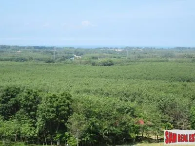 2 Rai Sea View Land for Sale, Mai Khao, Freehold - Mai Khao, Phuket - Photo 8