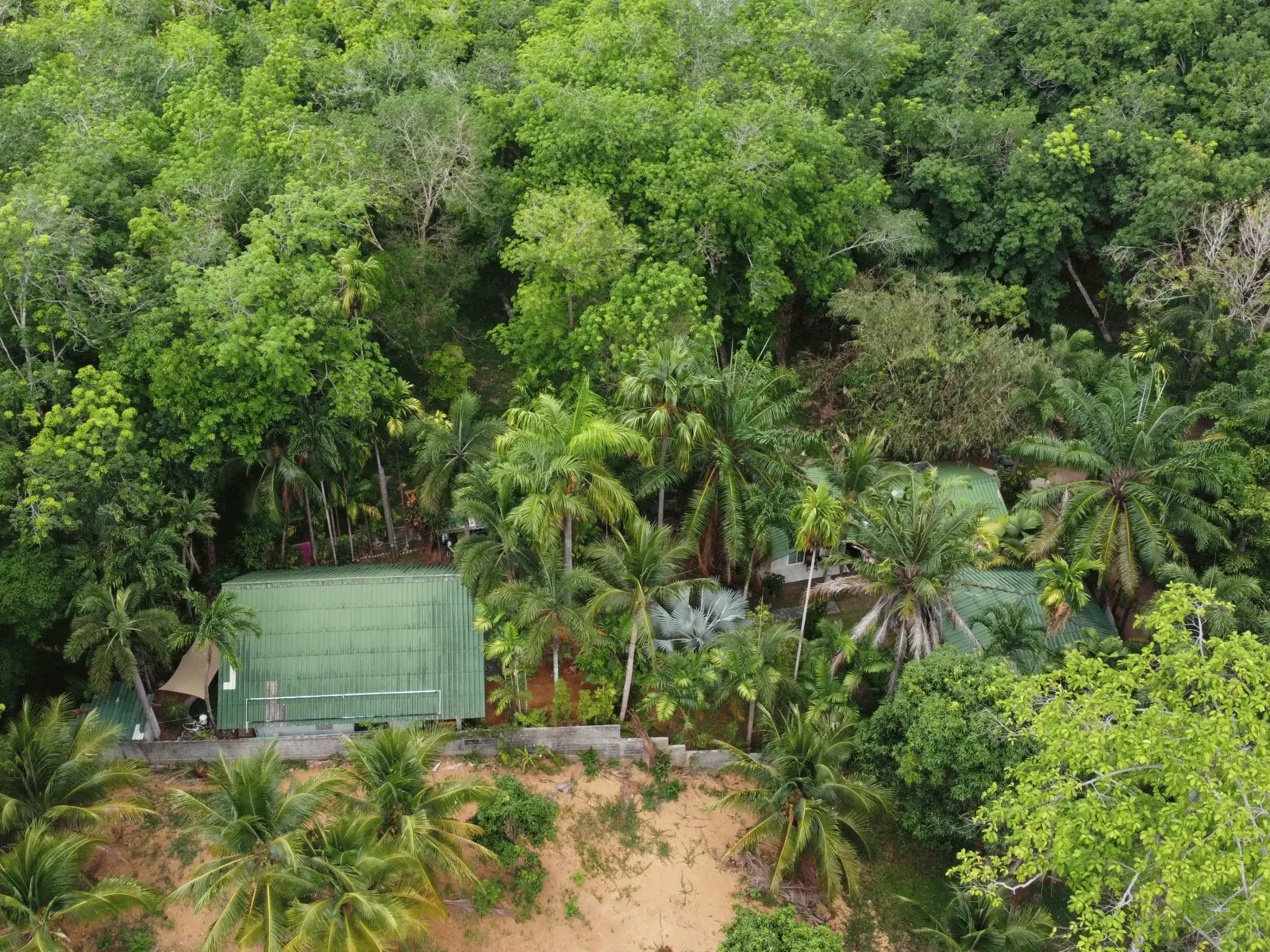 800 sqm Built-Up Land with Development Potential for Sale, Rawai - Rawai, Phuket - Photo 2