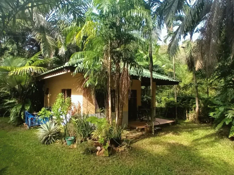 800 sqm Built-Up Land with Development Potential for Sale, Rawai - Rawai, Phuket - Main photo