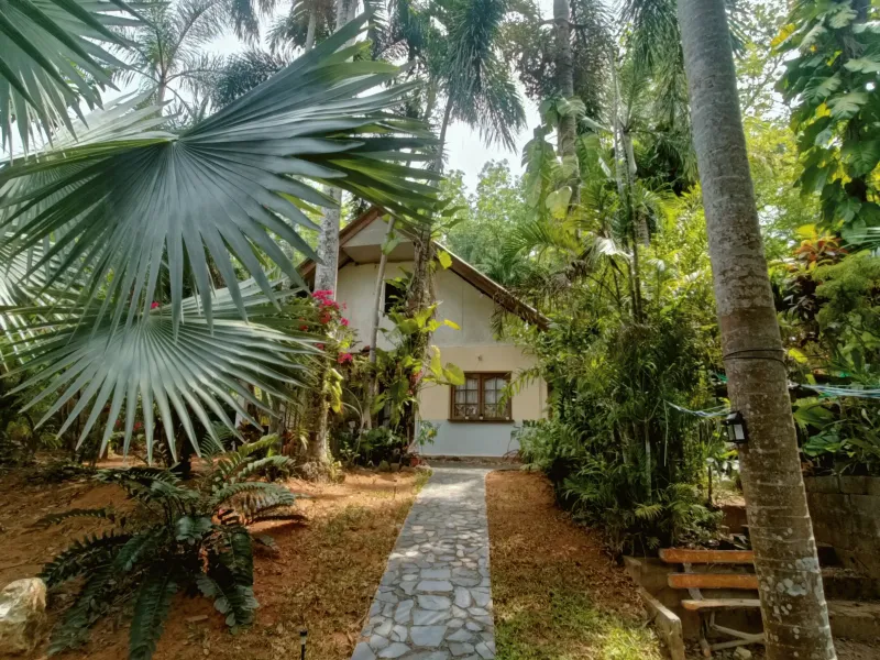 800 sqm Built-Up Land with Development Potential for Sale, Rawai - Rawai, Phuket - Main photo