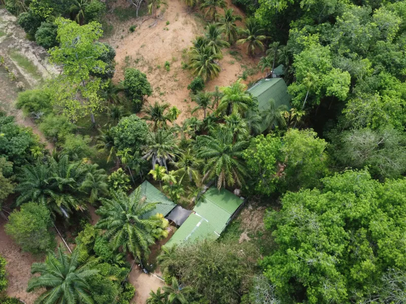 800 sqm Built-Up Land with Development Potential for Sale, Rawai - Rawai, Phuket - Main photo