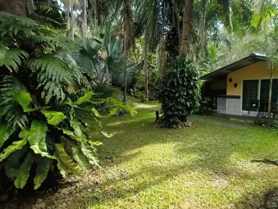800 sqm Built-Up Land with Development Potential for Sale, Rawai - Rawai, Phuket - Photo 7