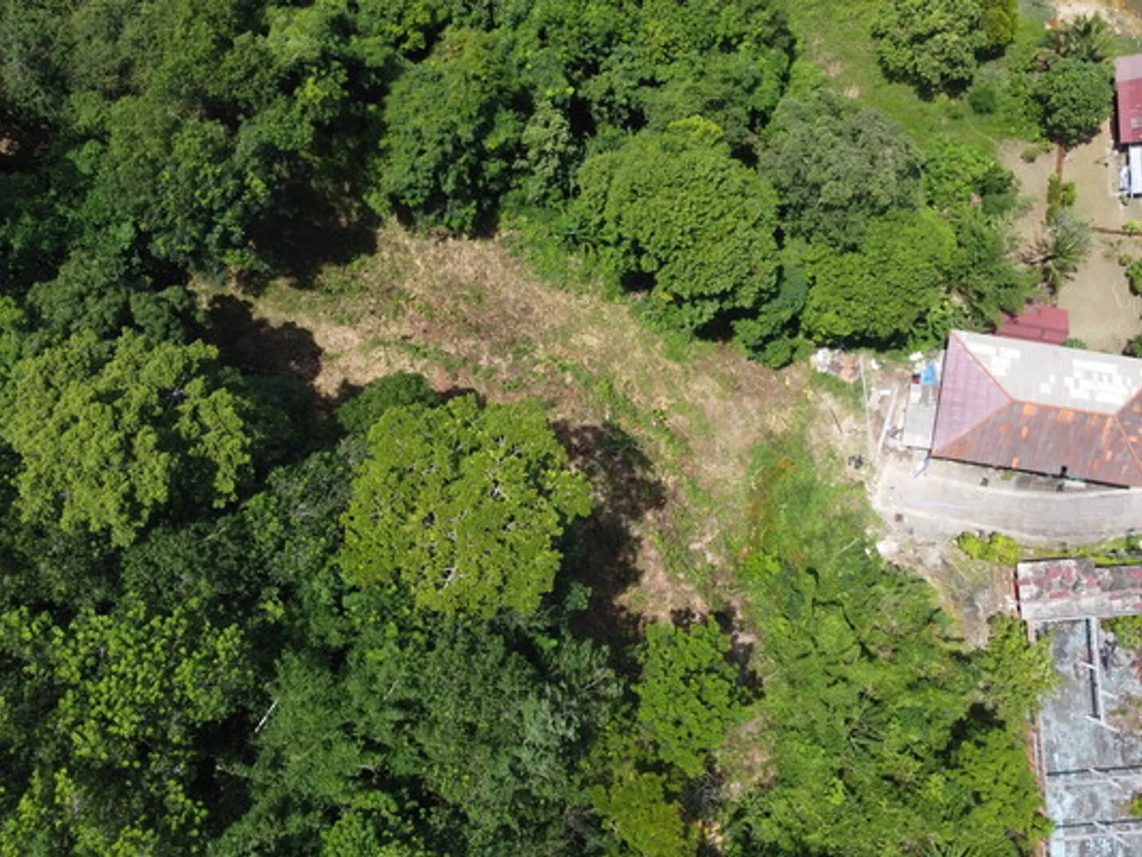 2 Rai Hillside Lake View Land for Sale, Kathu, Freehold - Kathu, Phuket - Photo 28