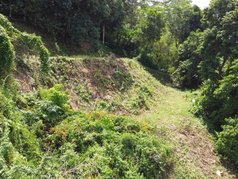 2 Rai Hillside Lake View Land for Sale, Kathu, Freehold - Kathu, Phuket - Main photo