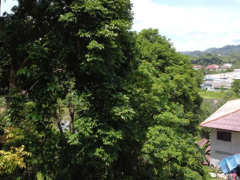2 Rai Hillside Lake View Land for Sale, Kathu, Freehold - Kathu, Phuket - Main photo