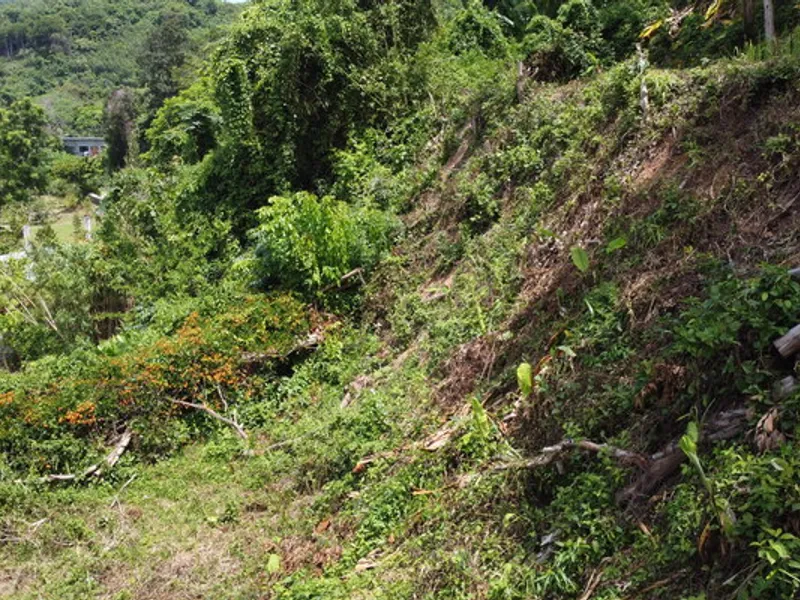 2 Rai Hillside Lake View Land for Sale, Kathu, Freehold - Kathu, Phuket - Main photo