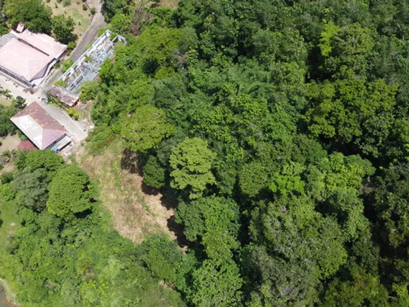 2 Rai Hillside Lake View Land for Sale, Kathu, Freehold - Kathu, Phuket - Main photo