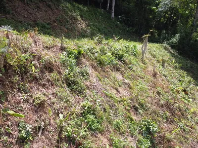 2 Rai Hillside Lake View Land for Sale, Kathu, Freehold - Kathu, Phuket - Photo 23