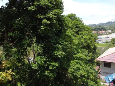 2 Rai Hillside Lake View Land for Sale, Kathu, Freehold - Kathu, Phuket - Photo 25