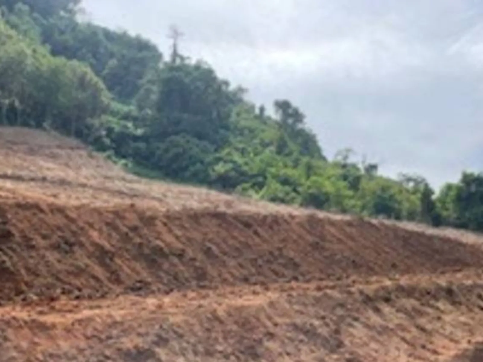 9,988 sqm Sea View Land for Sale, Mai Khao, Freehold - Mai Khao, Phuket - Photo 18