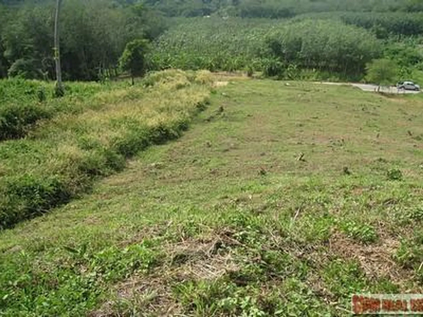 9,988 sqm Sea View Land for Sale, Mai Khao, Freehold - Mai Khao, Phuket - Photo 28