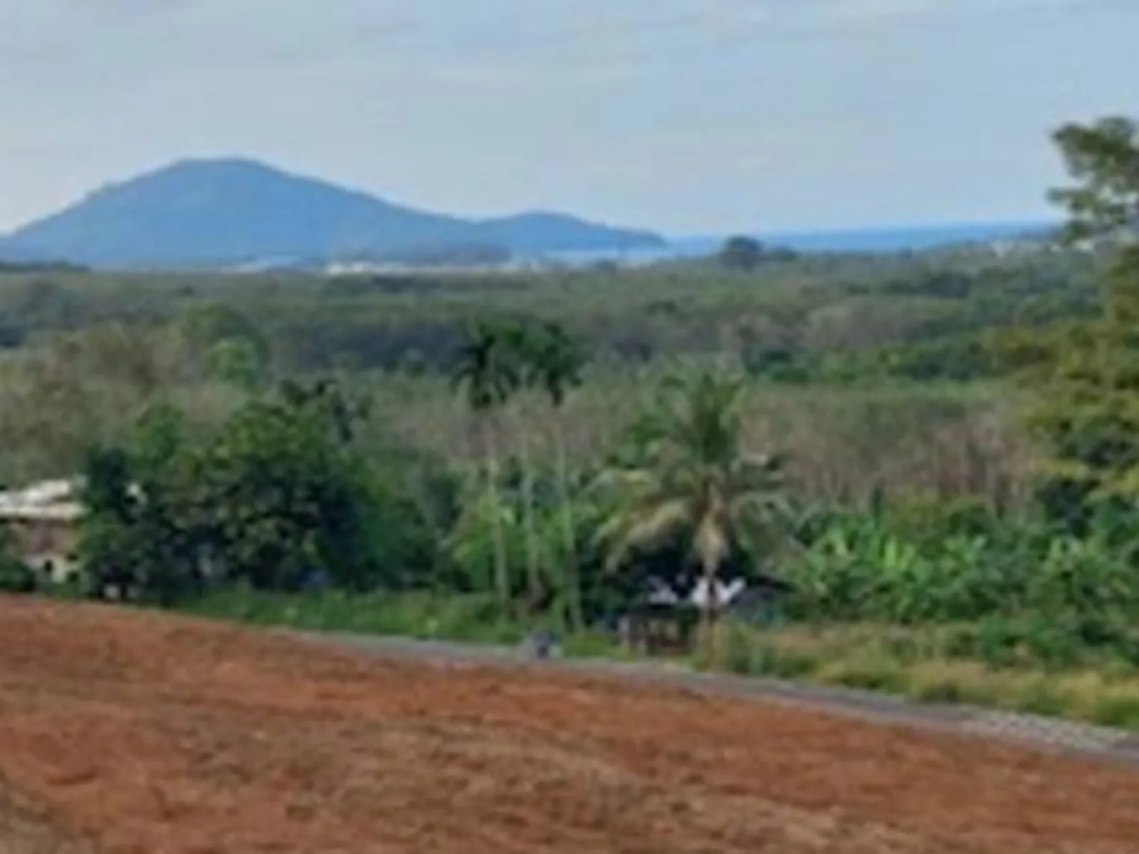 9,988 sqm Sea View Land for Sale, Mai Khao, Freehold - Mai Khao, Phuket - Photo 16
