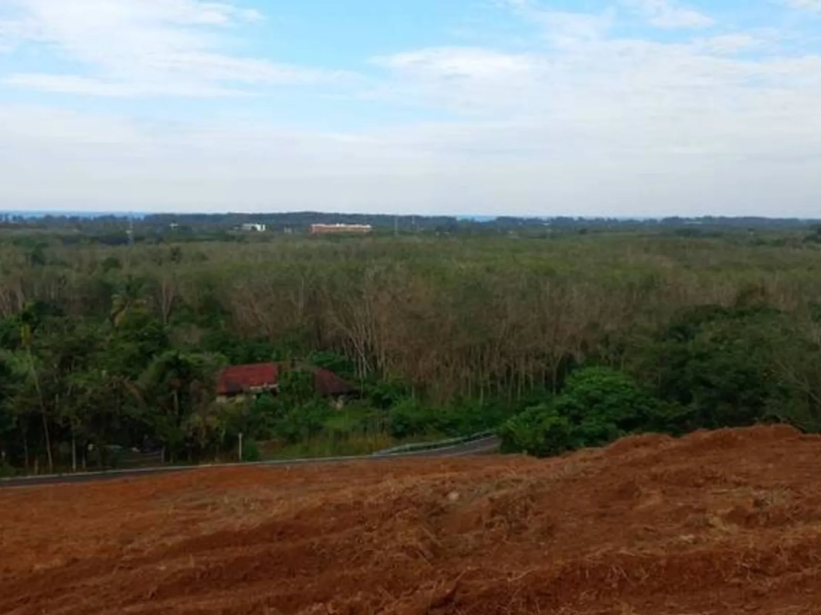 9,988 sqm Sea View Land for Sale, Mai Khao, Freehold - Mai Khao, Phuket - Photo 5