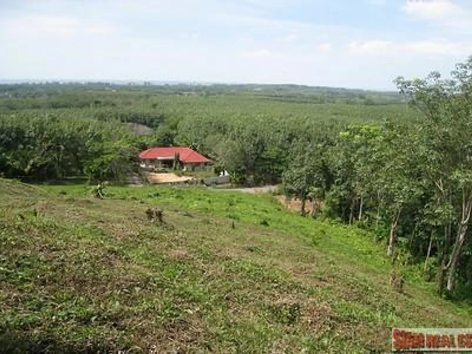 9,988 sqm Sea View Land for Sale, Mai Khao, Freehold - Mai Khao, Phuket - Photo 21