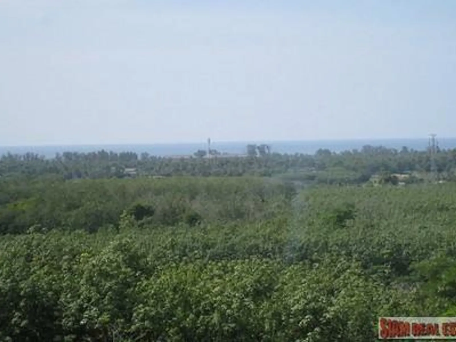 9,988 sqm Sea View Land for Sale, Mai Khao, Freehold - Mai Khao, Phuket - Photo 25