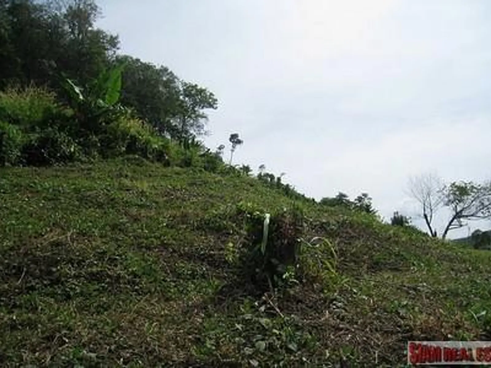 9,988 sqm Sea View Land for Sale, Mai Khao, Freehold - Mai Khao, Phuket - Photo 27