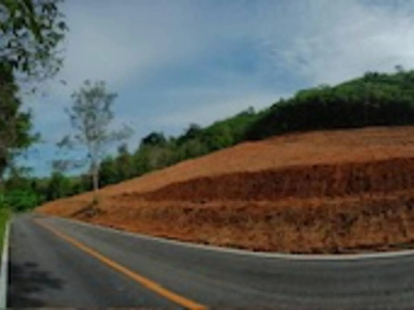 9,988 sqm Sea View Land for Sale, Mai Khao, Freehold - Mai Khao, Phuket - Photo 12