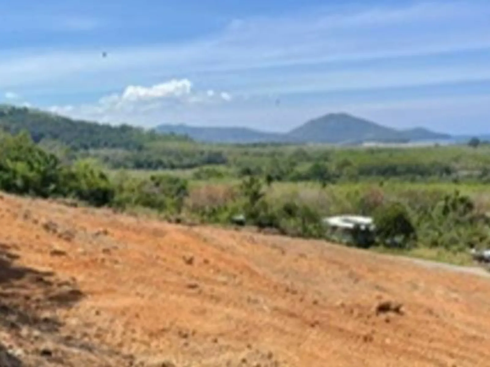 9,988 sqm Sea View Land for Sale, Mai Khao, Freehold - Mai Khao, Phuket - Photo 7