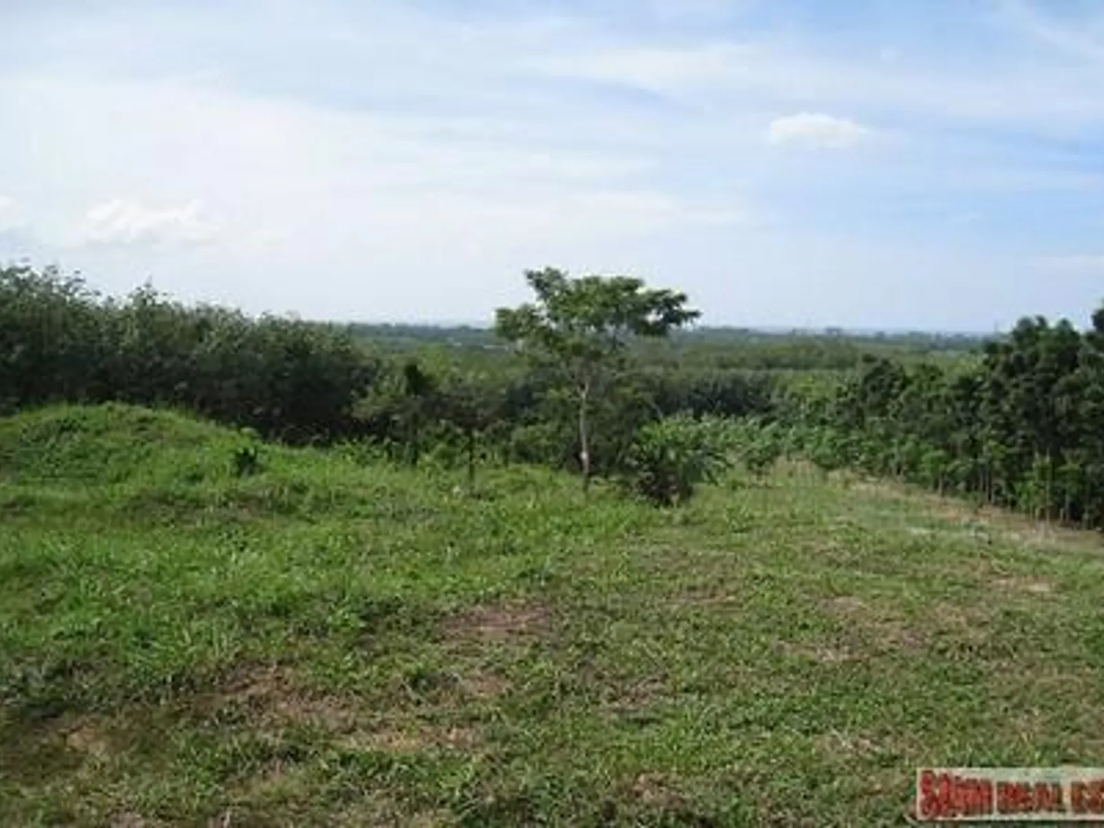 9,988 sqm Sea View Land for Sale, Mai Khao, Freehold - Mai Khao, Phuket - Photo 29