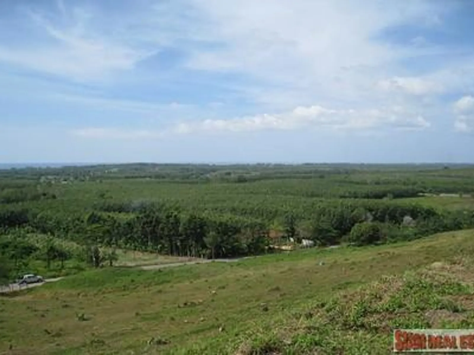 9,988 sqm Sea View Land for Sale, Mai Khao, Freehold - Mai Khao, Phuket - Photo 1