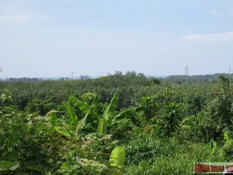 9,988 sqm Sea View Land for Sale, Mai Khao, Freehold - Mai Khao, Phuket - Main photo