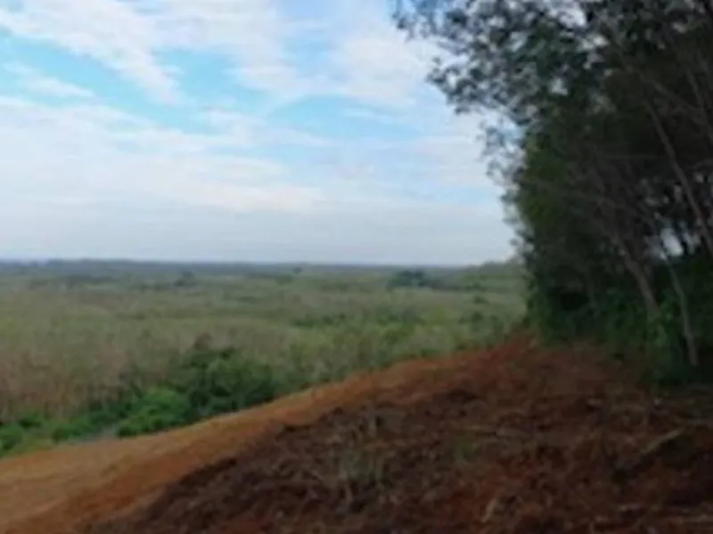 9,988 sqm Sea View Land for Sale, Mai Khao, Freehold - Mai Khao, Phuket - Main photo