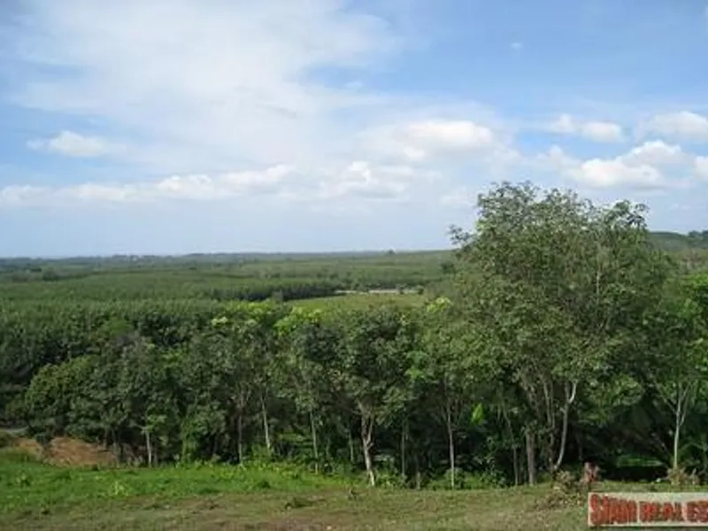 9,988 sqm Sea View Land for Sale, Mai Khao, Freehold - Mai Khao, Phuket - Main photo