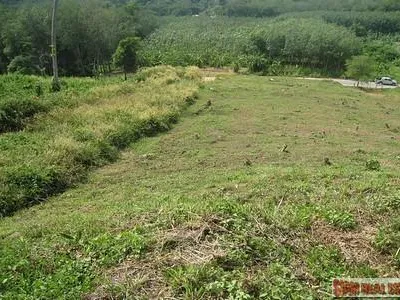 9,988 sqm Sea View Land for Sale, Mai Khao, Freehold - Mai Khao, Phuket - Photo 28