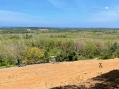 9,988 sqm Sea View Land for Sale, Mai Khao, Freehold - Mai Khao, Phuket - Photo 10