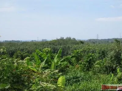 9,988 sqm Sea View Land for Sale, Mai Khao, Freehold - Mai Khao, Phuket - Photo 22
