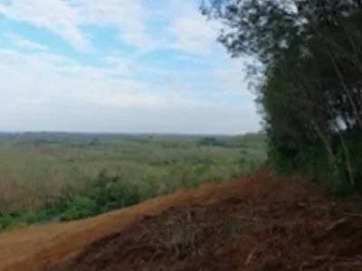 9,988 sqm Sea View Land for Sale, Mai Khao, Freehold - Mai Khao, Phuket - Photo 17