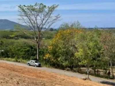 9,988 sqm Sea View Land for Sale, Mai Khao, Freehold - Mai Khao, Phuket - Photo 14